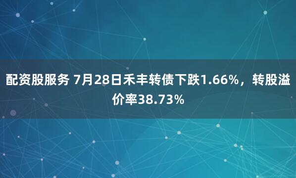 配资股服务 7月28日禾丰转债下跌1.66%，转股溢价率38.73%